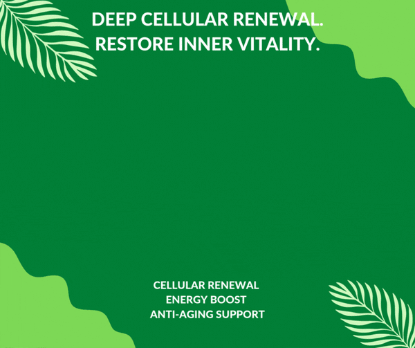 EFILA Advance Longevity Cell Regeneration Booster (90tablets)